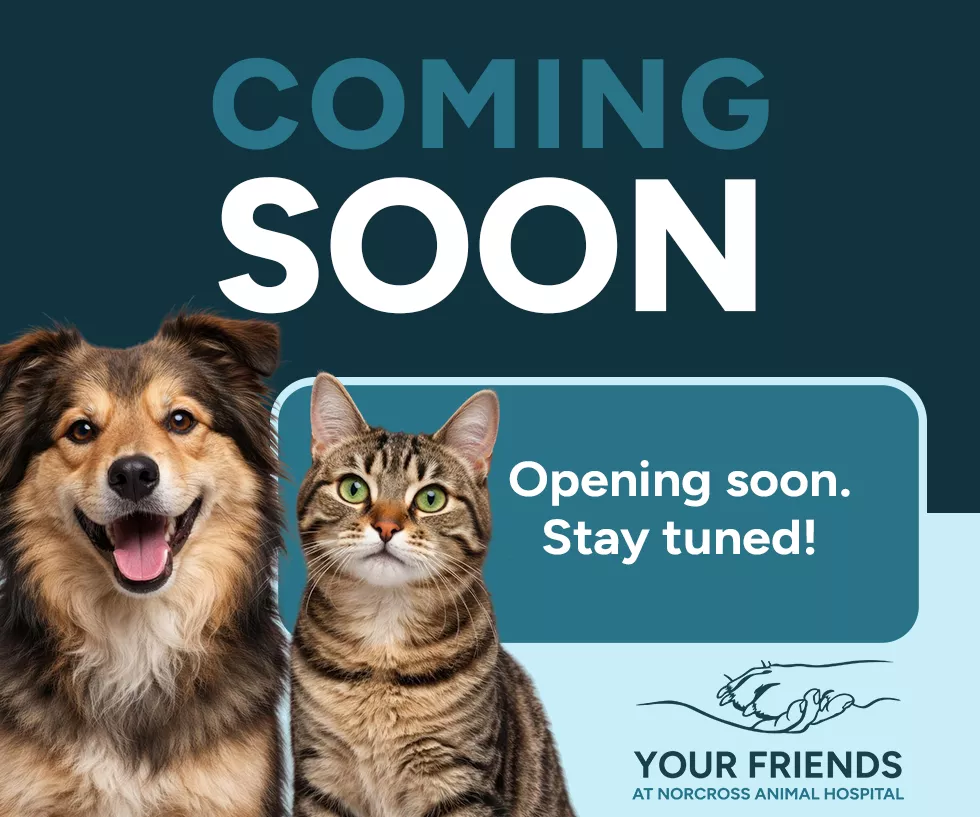 Coming Soon!